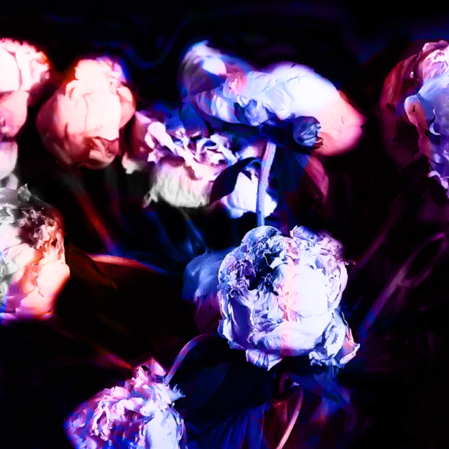 stylized flower 1